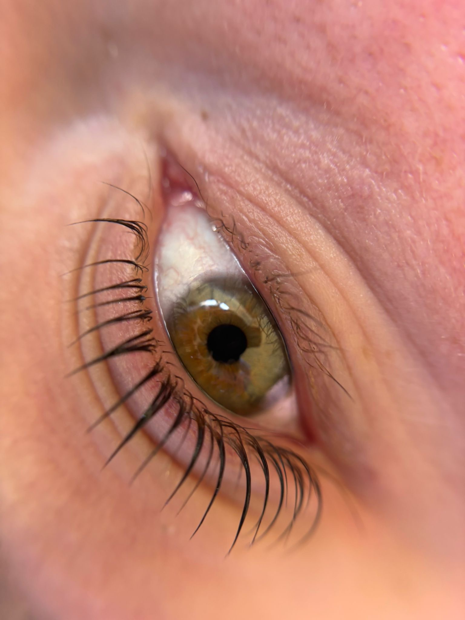 Korean Lashlift